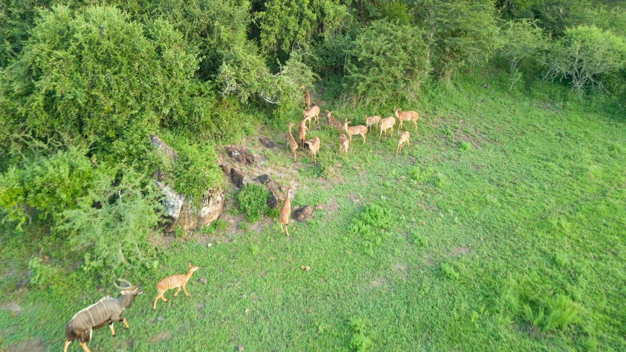 Zululand Lodge 슐룰루웨 외부 사진