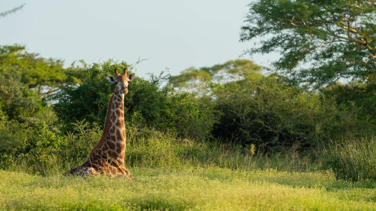 Zululand Lodge 슐룰루웨 외부 사진